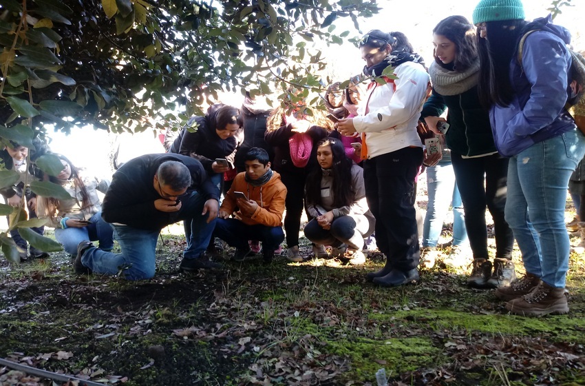 Alumni del MBA U. Mayor asumió como directora de la Asociación Gremial de Truficultores de Chile